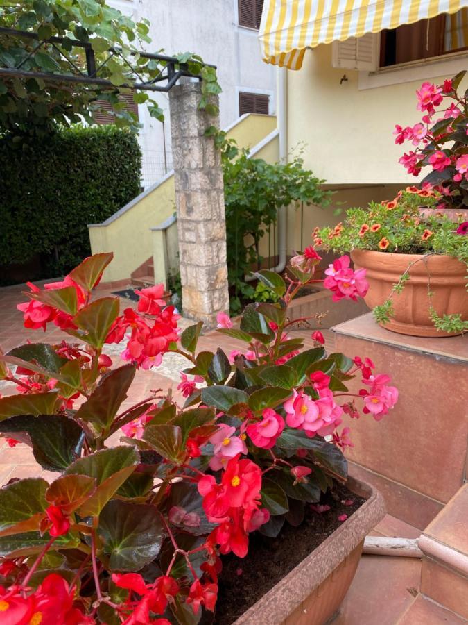 Apartments Maris Umag Exterior foto